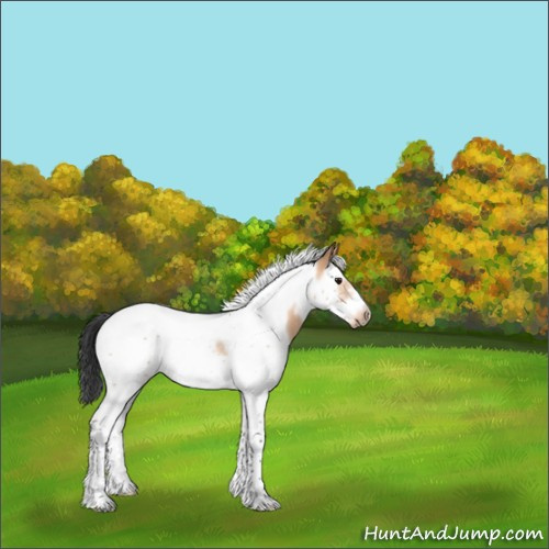 Horse Color:Bay Roan Dun Splash Tobiano Frame Rabicano 