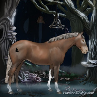 Horse Color:Gray Silver Black Pearl Tobiano 