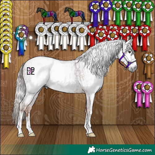 Horse Color:Gray Chestnut and Gray Chestnut