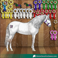 Horse Color:Gray Chestnut  and Gray Chestnut 