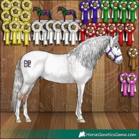 Horse Color:Gray Chestnut  and Gray Chestnut 