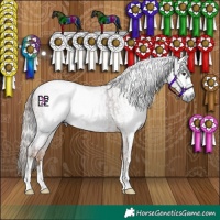 Horse Color:Gray Chestnut  and Gray Chestnut 
