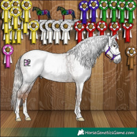 Horse Color:Gray Chestnut and Gray Chestnut