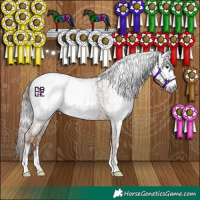 Horse Color:Gray Chestnut  and Gray Chestnut 