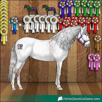 Horse Color:Gray Chestnut  and Gray Chestnut 