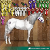 Horse Color:Gray Chestnut  and Gray Chestnut 