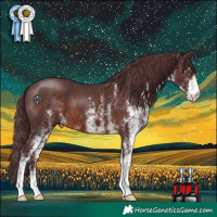 Horse Color:White Spotted Chocolate Brown 
