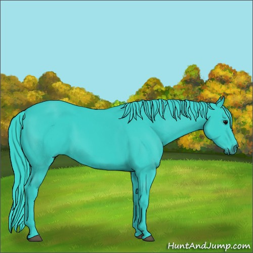 Horse Color:Watercolor Black 