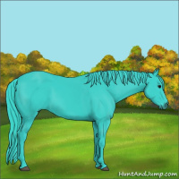 Horse Color:Watercolor Black