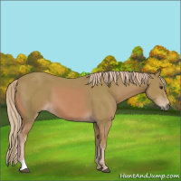 Horse Color:Watercolor Chestnut 