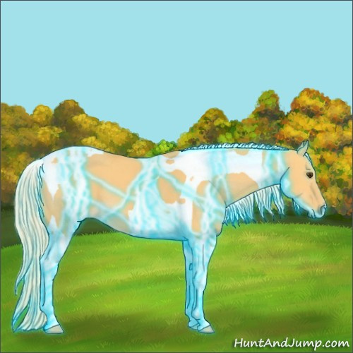 Horse Color:Thunderstruck Palomino Dun Tobiano 