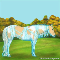 Horse Color:Thunderstruck Palomino Dun Tobiano 