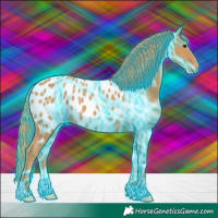 Horse Color:Thunderstruck Chestnut Appaloosa