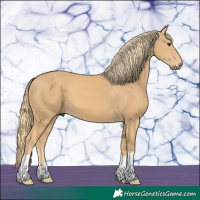 Horse Color:Chestnut Mushroom 