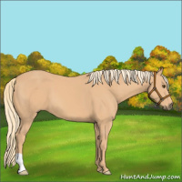 Horse Color:Chestnut Mushroom 