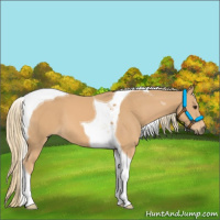 Horse Color:Chestnut Mushroom Tobiano