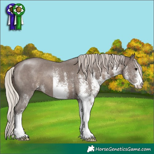 Horse Color:White Spotted Silver Black 