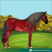 Horse Color:ERROR: UNKNOWN ANOMALY