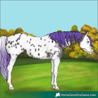 Horse Color:Watercolor Brown Ice Splash Near Leopard 
