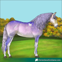 Horse Color:Watercolor White Spotted Silver Buckskin Onyx 