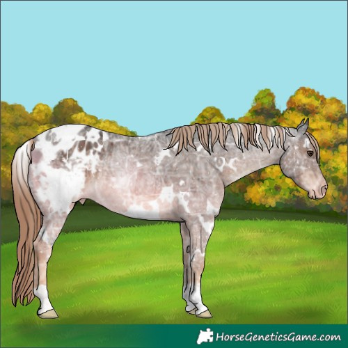 Horse Color:White Spotted Liver Chestnut Ice Blanket