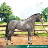 Horse Color:Grullo Sabino Tobiano