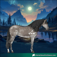 Horse Color:White Spotted Grullo Rabicano 