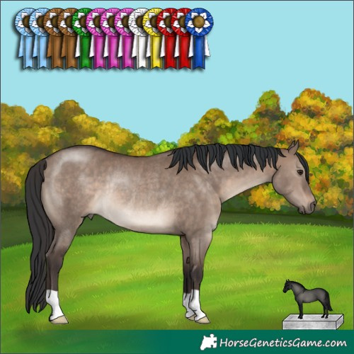 Horse Color:Brown Dun Rabicano 