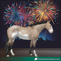 Horse Color:Brown Dun Frame Rabicano
