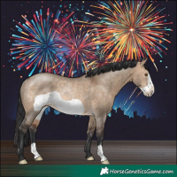 Horse Color:Brown Dun Frame Rabicano 