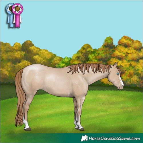Horse Color:Grullo Pearl Sabino Tobiano Rabicano 