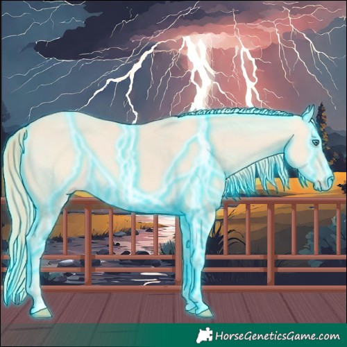 Horse Color:Thunderstruck Perlino 