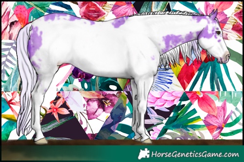 Horse Color:Watercolor White Spotted Silver Bay Sabino Frame 