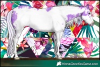 Horse Color:Watercolor White Spotted Silver Bay Sabino Frame 