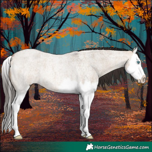 Horse Color:Bay Roan Dun Splash 