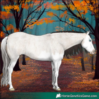 Horse Color:Bay Roan Dun Splash 