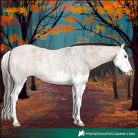 Horse Color:Bay Roan Dun Splash 