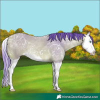 Horse Color:Watercolor Buckskin Ice Splash 