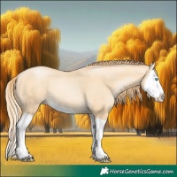 Horse Color:Buckskin Pearl Splash 