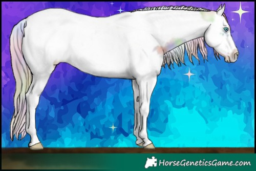 Horse Color:Nacre Amber Champagne Pearl Dun Splash Tobiano Frame Rabicano 