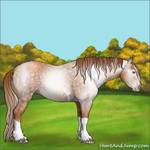 Horse Color:Gray Gold Champagne Tobiano