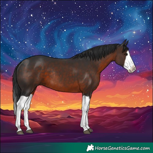 Horse Color:Brown Splash Rabicano