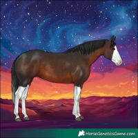 Horse Color:Brown Splash Rabicano 