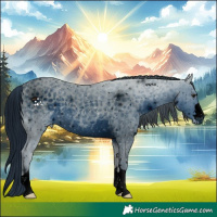 Horse Color:ERROR: UNKNOWN ANOMALY