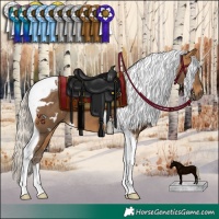 Horse Color:White Spotted Silver Buckskin Tobiano