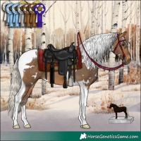 Horse Color:White Spotted Silver Buckskin Tobiano 