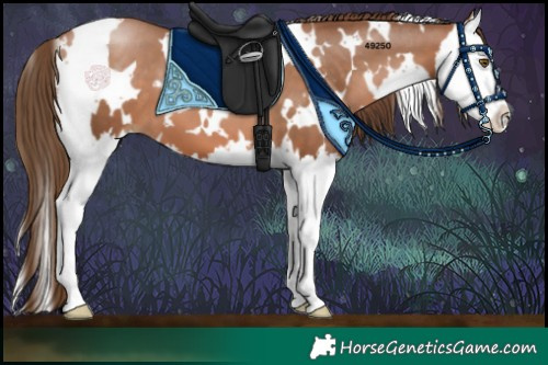 Horse Color:White Spotted Brown Pearl Splash 