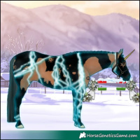 Horse Color:Void Thunderstruck Bay Splash Tobiano 