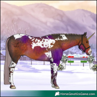 Horse Color:Chocolate Palomino Tobiano 