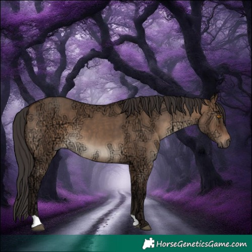 Horse Color:Brown Ice Dun 